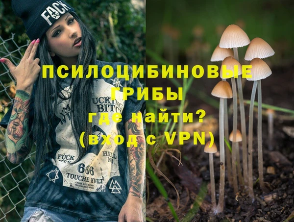 мдпв Белокуриха