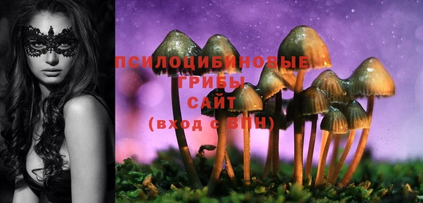 первитин Белоозёрский