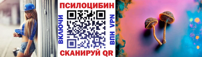 закладка  Реутов  Галлюциногенные грибы Psilocybine cubensis 